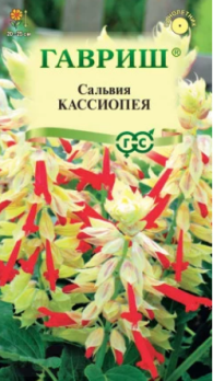  Сальвия карликовая Кассиопея 4шт цв Гавриш