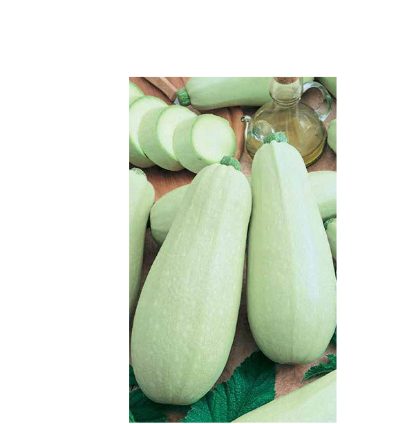  Кабачок Белоплодные 2 г Россельхозцентр
