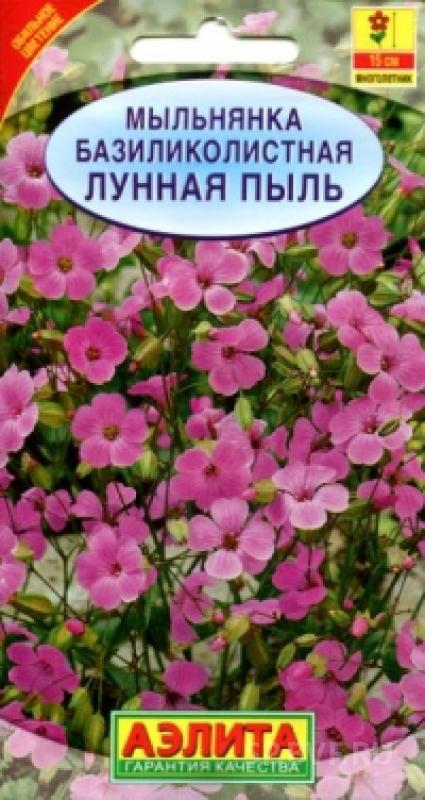 Мыльнянка Лунная пыль базиликолистная цв. Аэлита