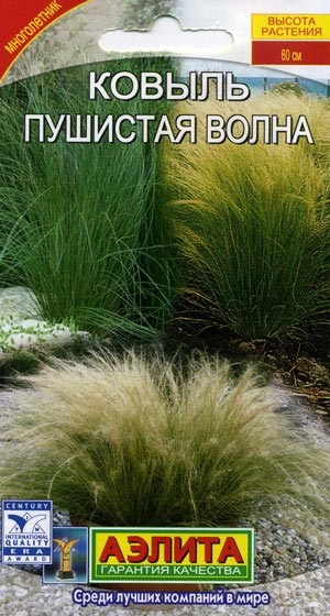  Колеус балконный Алый бархат цв Аэлита