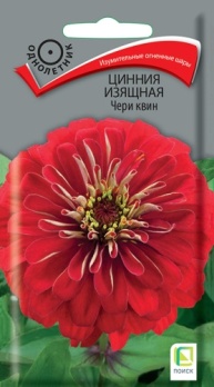  Цинния изящная Чери квин 0,4г цв Поиск