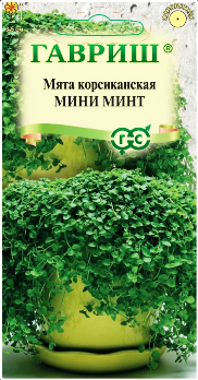  Мята корсиканская Мини минт 3шт цв Гавриш