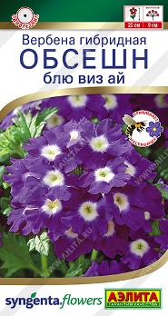  Вербена Обсешн блю виз ай цв. Аэлита