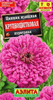  Цинния Крупноцветковая пурпурная цв Аэлита