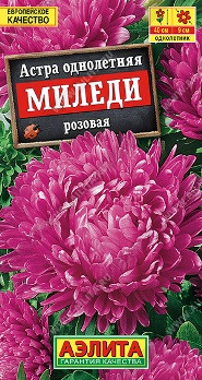  Астра Миледи розовая цв Аэлита