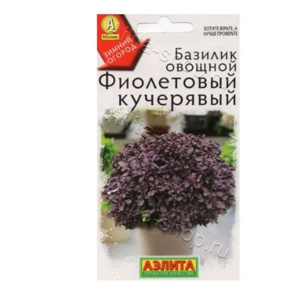  Базилик овощной Фиолетовый кучерявый цв  Аэлита