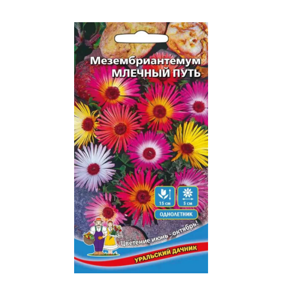  Мезембрентум млечный путь цв Урал. Дачник 