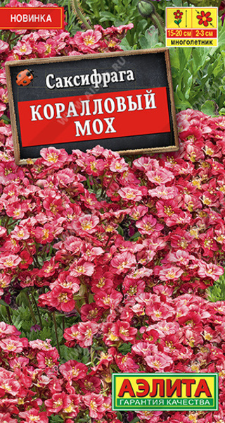  Саксифрага Коралловый мох цв Аэлита
