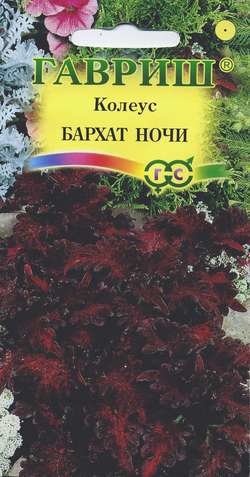  Колеус Бархат ночи 4шт Блэк цв Гавриш