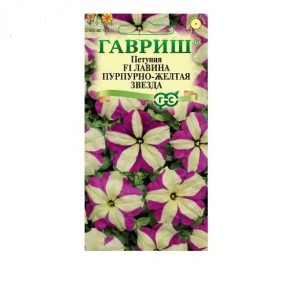  Петуния ампельн Лавина пурпурно-желтая Звезда F1 7шт Гавриш