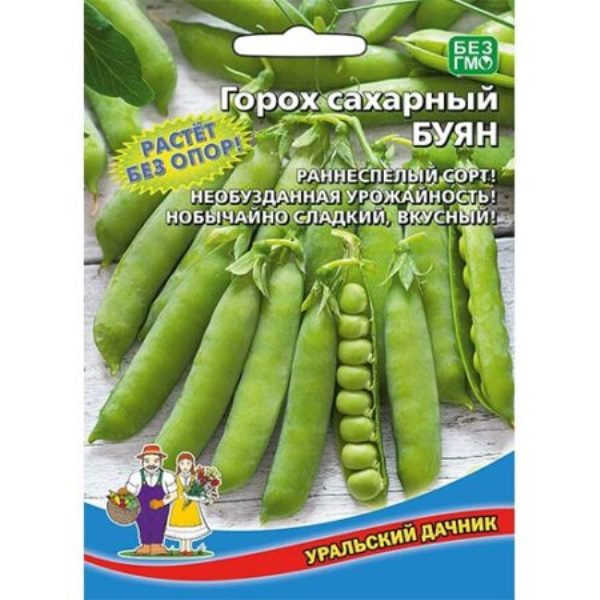  Горох сахарный Буян цв Урал.Дачник
