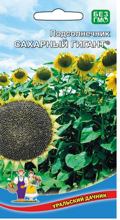  Подсолнечник Сахарный гигант цв Уральский Дачник