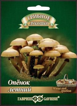  Опенок летний на древесн.палочке 12шт цв. Гавриш