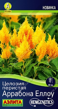  Целозия перистая Аррабона еллоу цв Аэлита