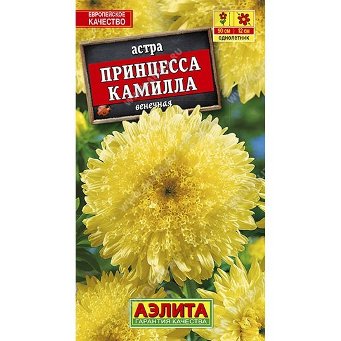  Астра Принцесса Камилла цв Аэлита