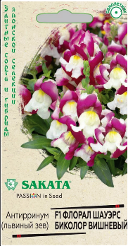  Антирринум (львиный зев) Флорал Шауэрс Биколор вишневый F1 7шт цв Саката Гавриш