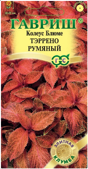  Колеус Тэррено румяный 4шт цв Гавриш
