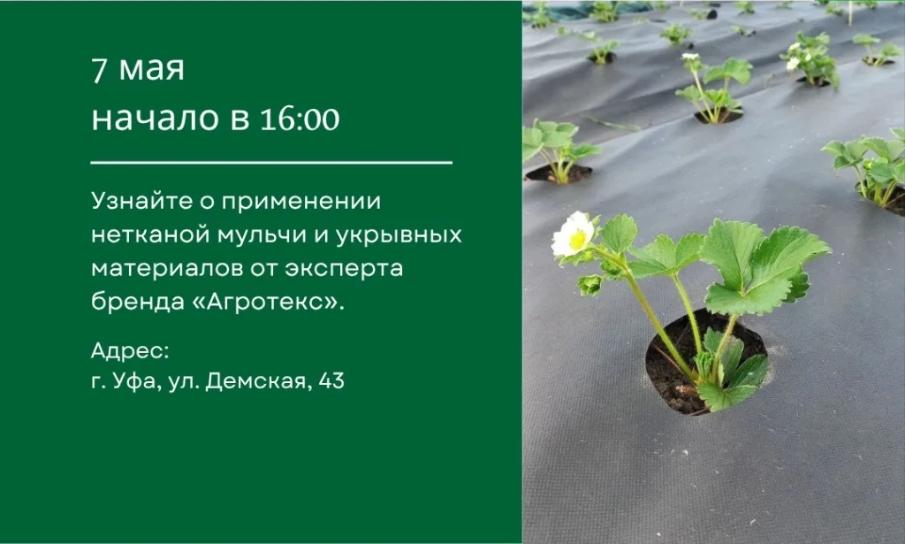 Бесплатный мастер-класс по применению нетканых материалов