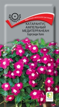  Катарантус ампельн Медитерранеан Бургунди Хало 10шт цв Поиск