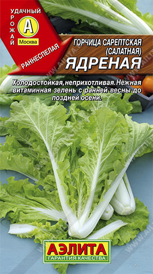  Горчица салатная Ядреная 0,5г цв Аэлита