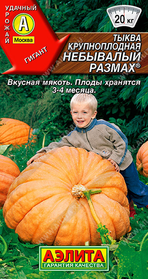  Тыква крупноплодная Небывалый размах цв. Аэлита