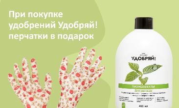 Специальное предложение для тех, кто на шаг впереди!