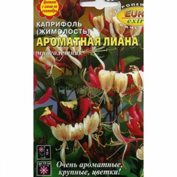  Капуста декоративная Белый кристалл F1 цв Аэлита