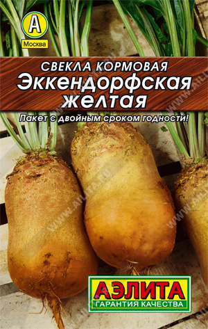  Свекла кормовая Эккендорфская желтая цв Аэлита (лидер)