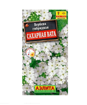  Вербена гибридная Сахарная вата цв. Аэлита