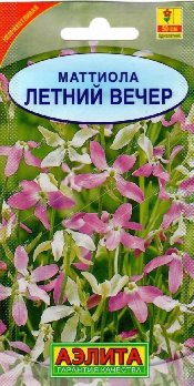  Маттиола Летний вечер цв. Аэлита 