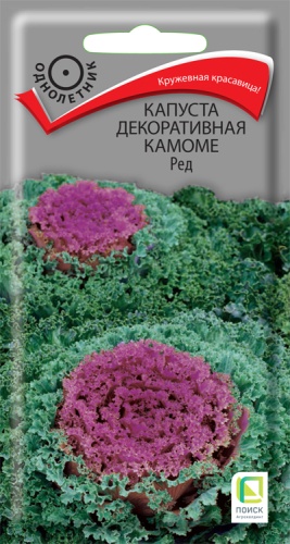  Капуста декоративная Камоме Ред 10шт цв Поиск