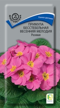  Примула бесстебельная Весенняя мелодия розовая 10шт цв Поиск