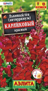  Львиный зев карликовый красный 10шт цв Аэлита  