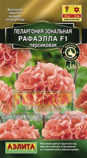  Пеларгония Рафаэлла F1 персиковая цв Аэлита