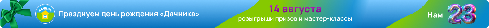 День рождения у "Дачника"