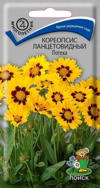  Кореопсис ланцетовидный Потеха 0,1гр цв 