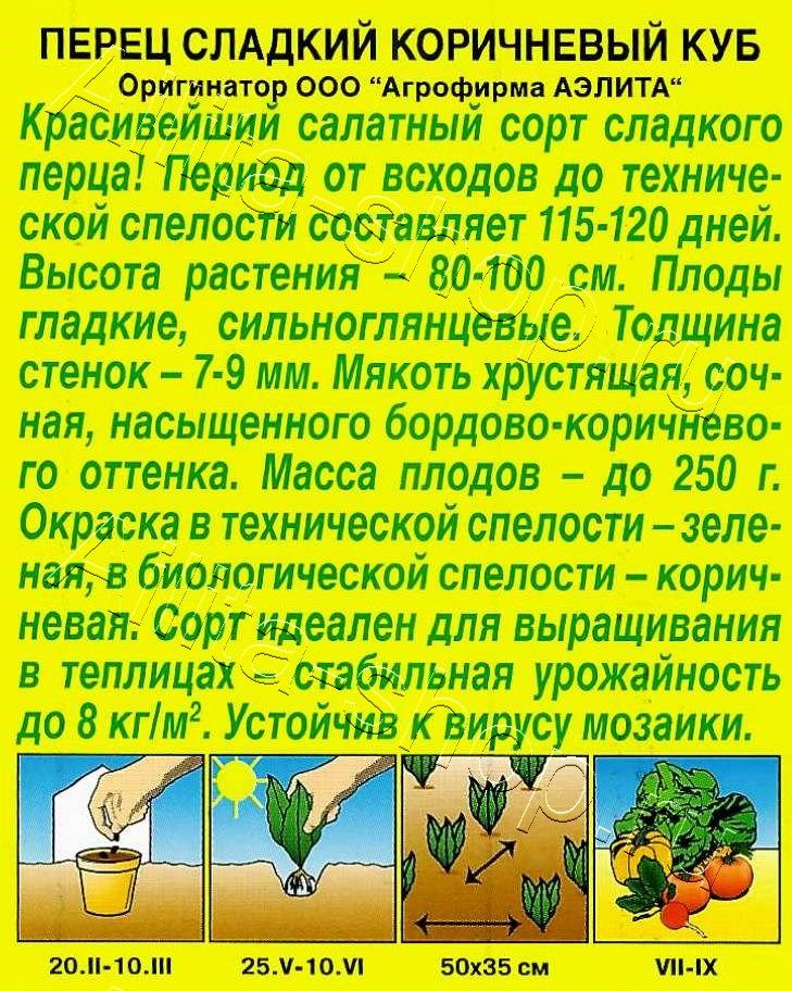  Перец сладкий Коричневый куб цв. Аэлита
