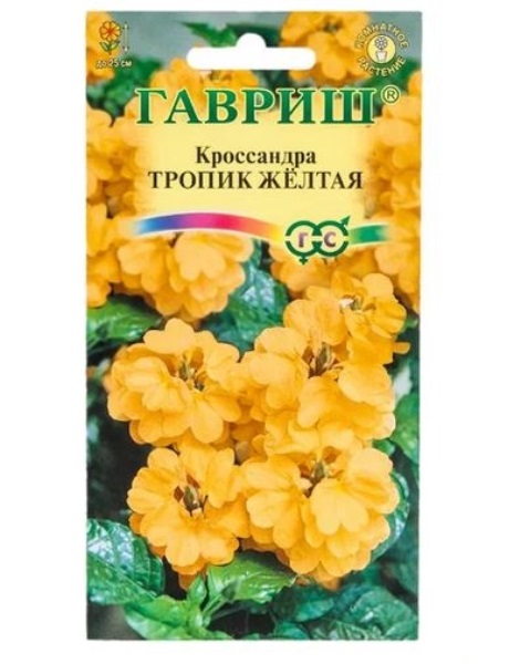  Кроссандра тропик желтая 3шт Элит клумба Гавриш