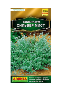  Гелихризум Сильвер мист цв Аэлита