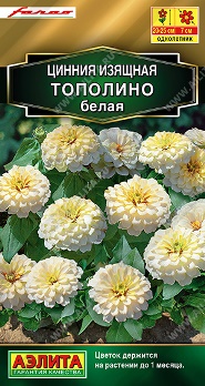  Цинния Тополино белая цв Аэлита