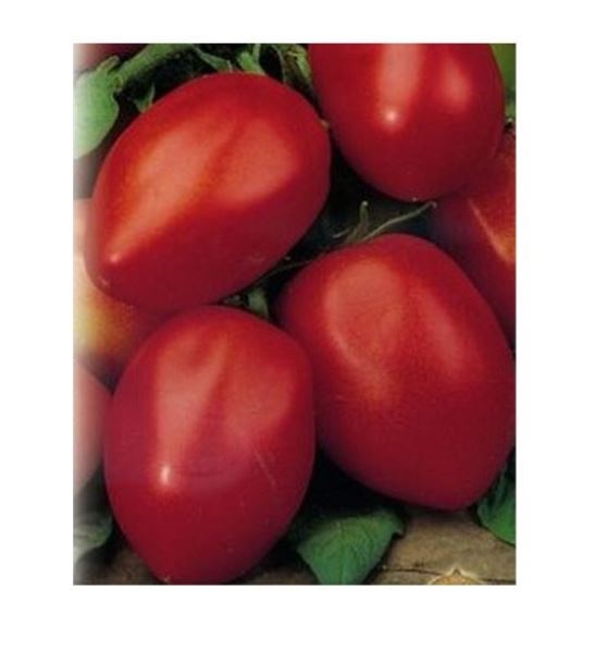  Томат Победитель 0,1г Россельхозцентр 