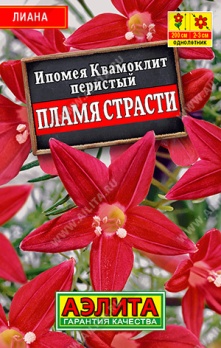  Ипомея Квамоклит Пламя страсти цв Аэлита (лидер)