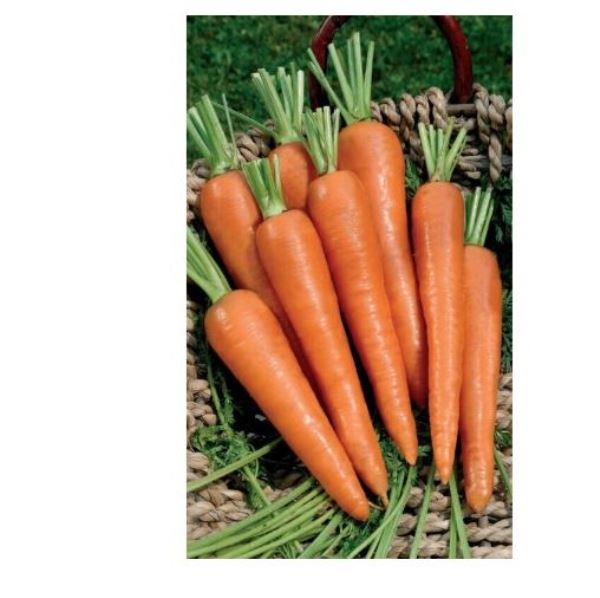  Морковь Чудо на рекорд цв Лента 8м Урал. Дачник