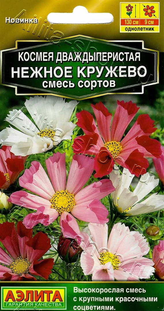  Космея Нежное кружево смесь цв Аэлита
