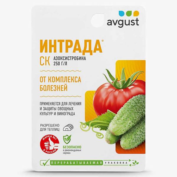  Интрада 10 мл №80 Август