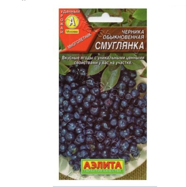  Черника обыкновенная Смуглянка цв  Аэлита