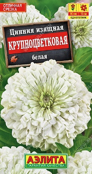  Цинния Крупноцветковая белая цв Аэлита
