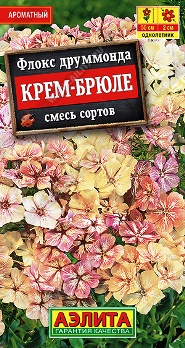  Флокс Крем-брюле смесь цв Аэлита