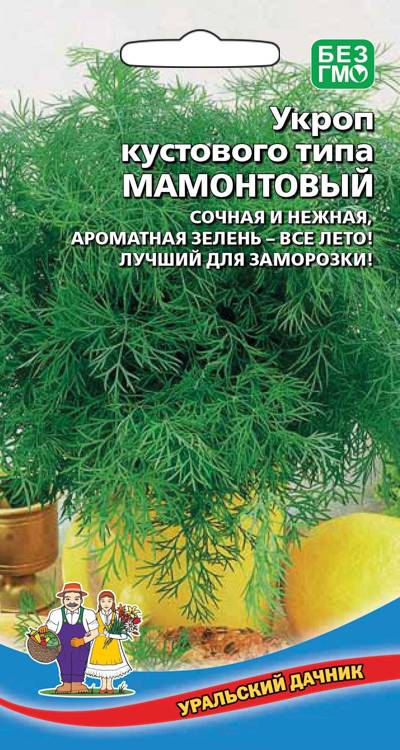  Укроп Мамонтовый цв Урал.Дачник