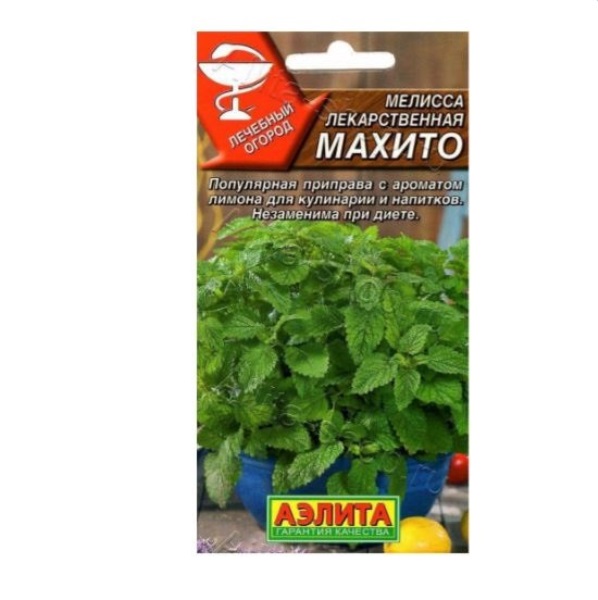  Мелисса лекарственная Махито цв Аэлита